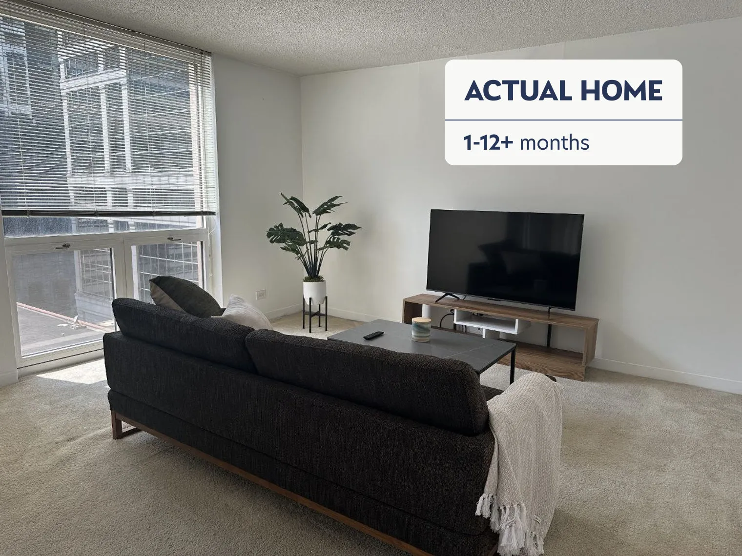 210 N Wells St 60601 60601-Building North Wells Street - aly-hospitality-unit#ID1294899P-Chicago-IL