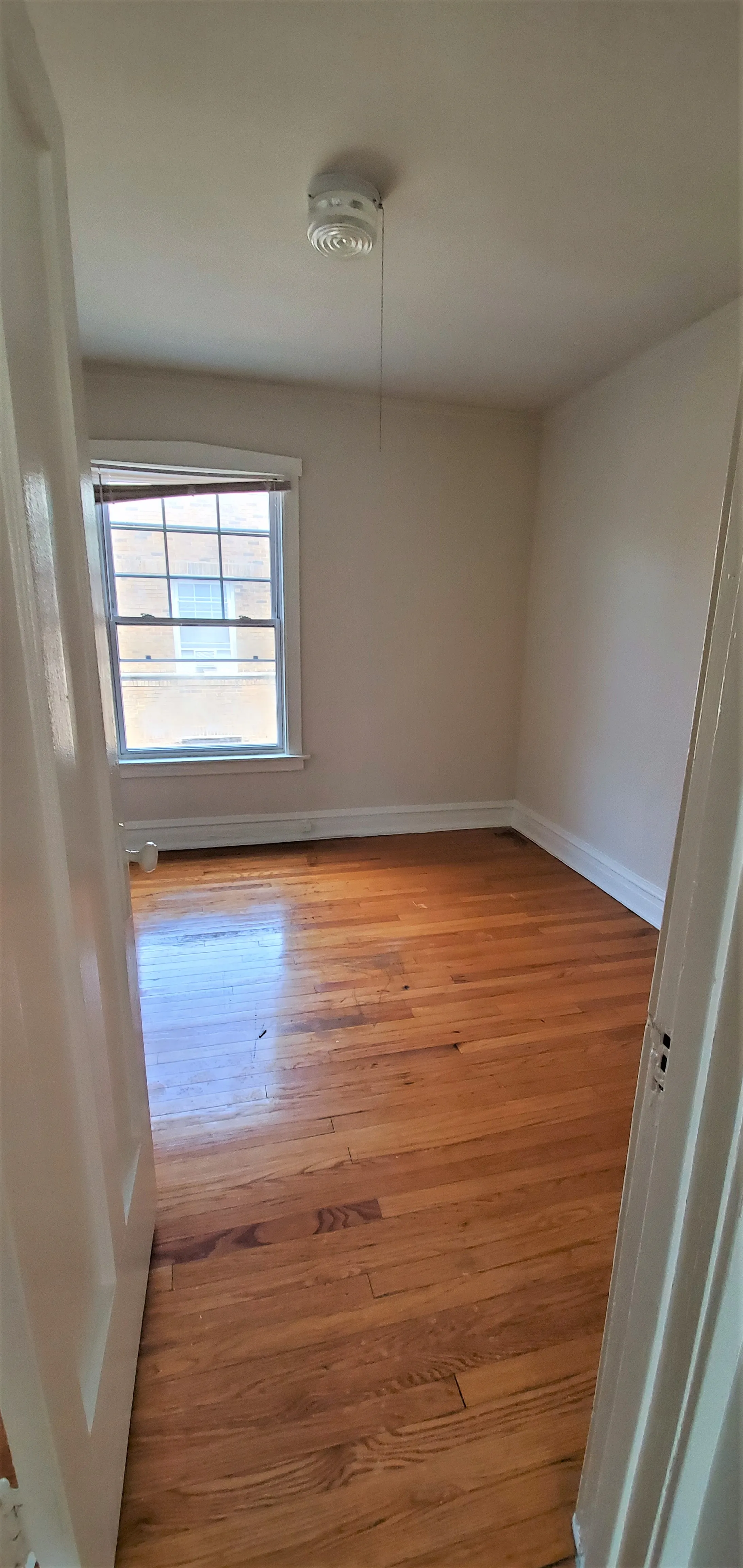 6600 N Ashland Ave   60626 60626-unit#3N-Chicago-IL