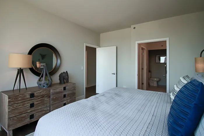 801 S Financial Pl   60605 60605-unit#2817-Chicago-IL