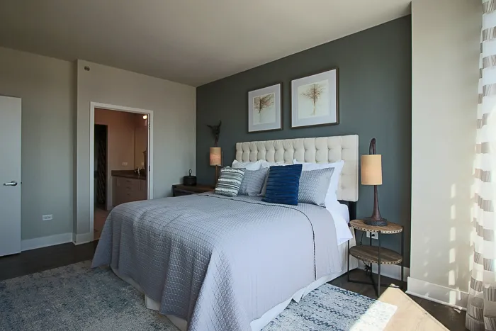 801 S Financial Pl   60605 60605-unit#2817-Chicago-IL