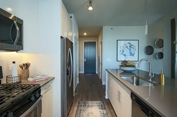 801 S Financial Pl   60605 60605-unit#2817-Chicago-IL