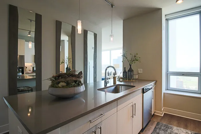 801 S Financial Pl   60605 60605-unit#2817-Chicago-IL