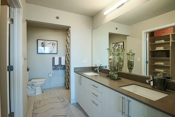 801 S Financial Pl   60605 60605-unit#2817-Chicago-IL