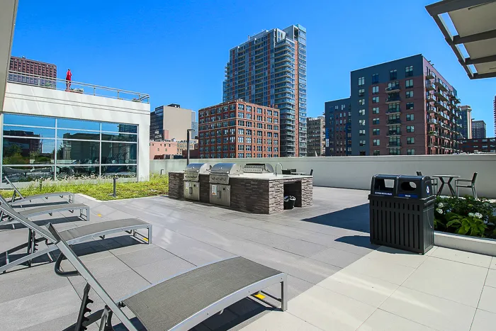 801 S Financial Pl   60605 60605-unit#2817-Chicago-IL