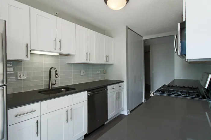 540 N Dearborn St 60610 60610-unit#1311-Chicago-IL