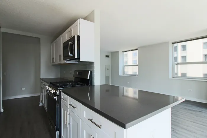 540 N Dearborn St 60610 60610-unit#1311-Chicago-IL