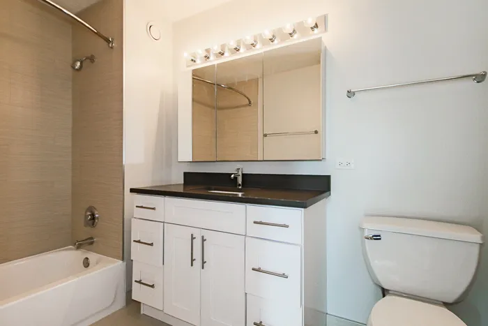 540 N Dearborn St 60610 60610-unit#1311-Chicago-IL