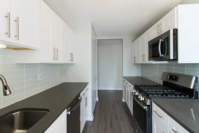 540 N Dearborn St 60610 60610-unit#1311-Chicago-IL