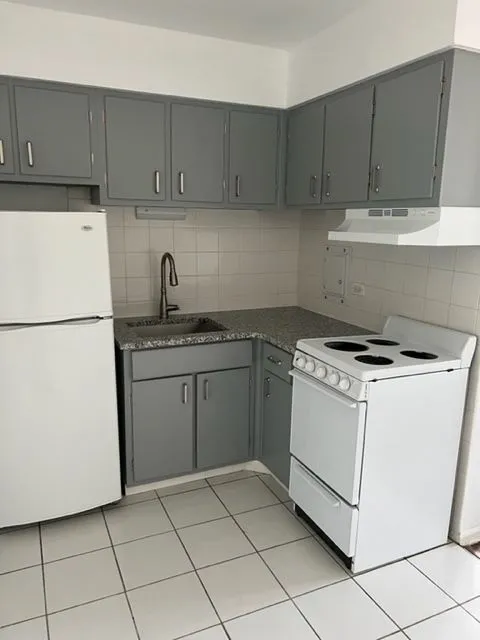 2355 W Jarvis Ave   60645 60645-unit#1N-Chicago-IL