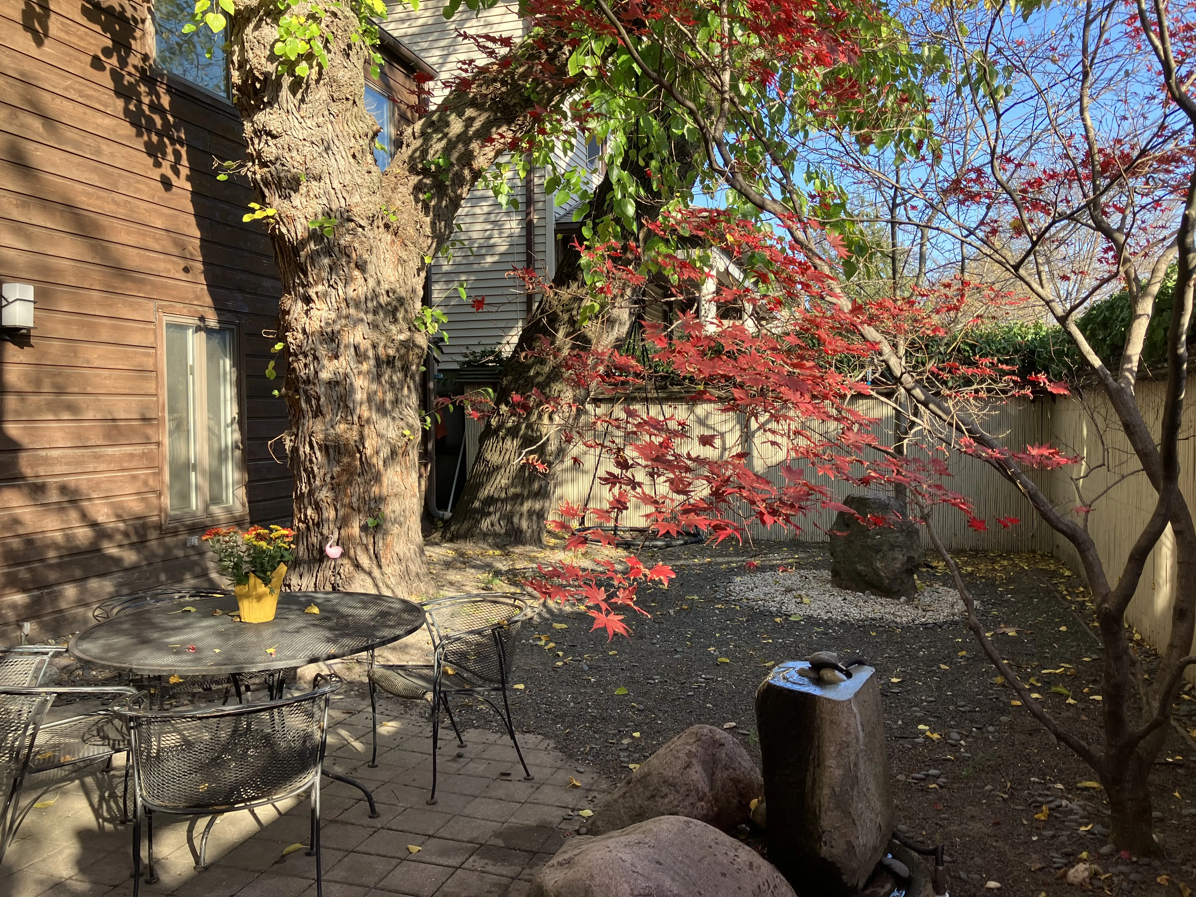 501 SHERMAN AVE 60202-Coach House-unit#CH-Evanston-IL