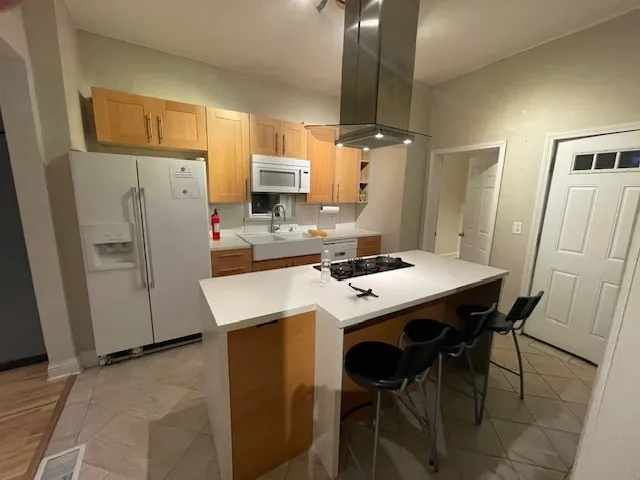 2554 CORTLAND ST 60647-unit#1-Chicago-IL