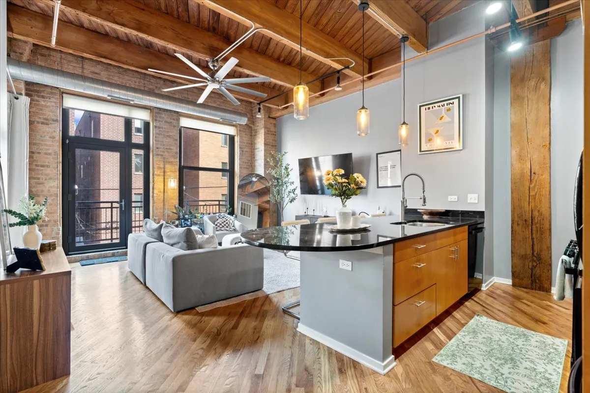 1040 W Adams St 60607 60607-unit#217-Chicago-IL