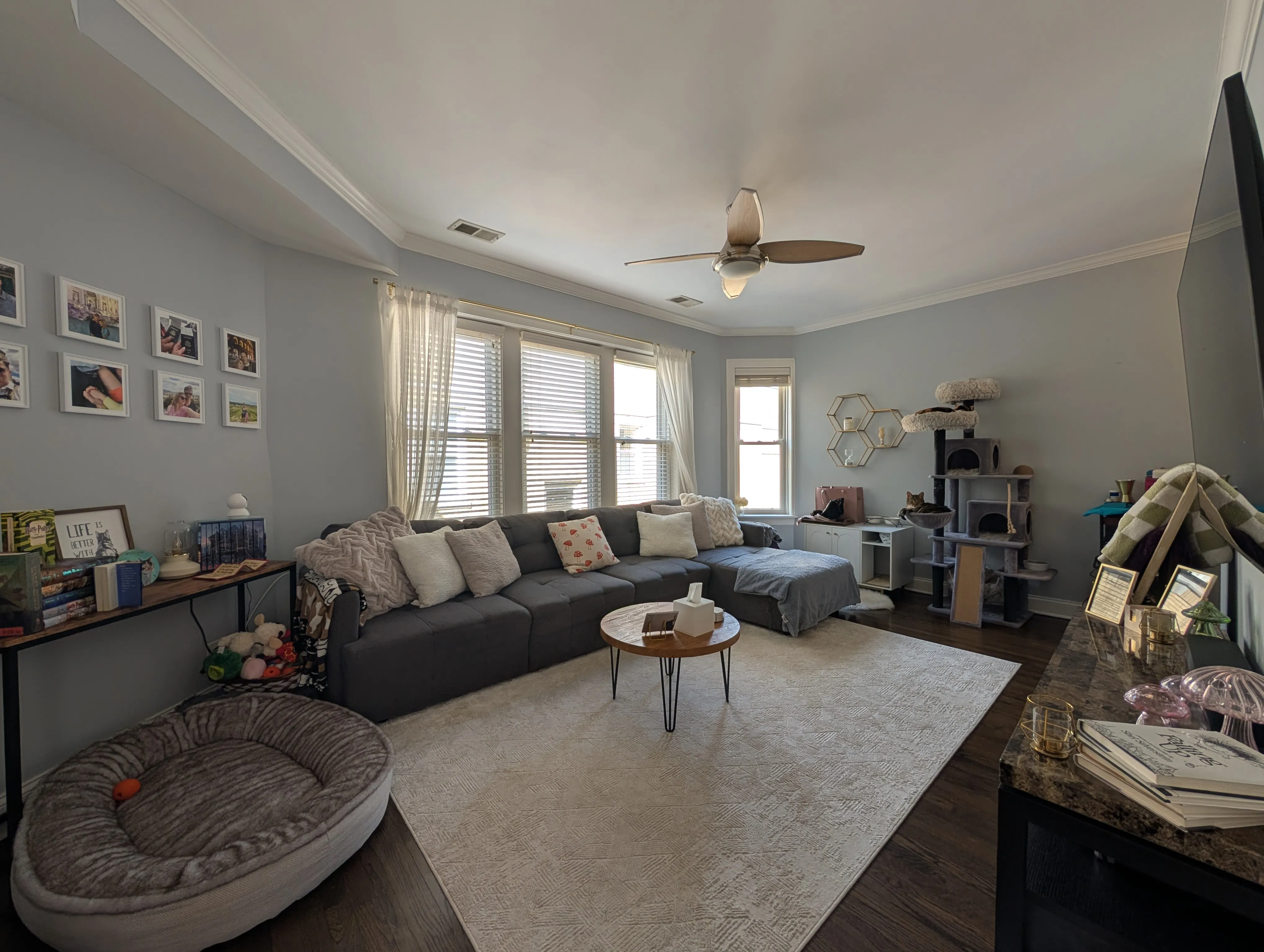 3402 N Bell Ave 60618 60618-unit#3-Chicago-IL