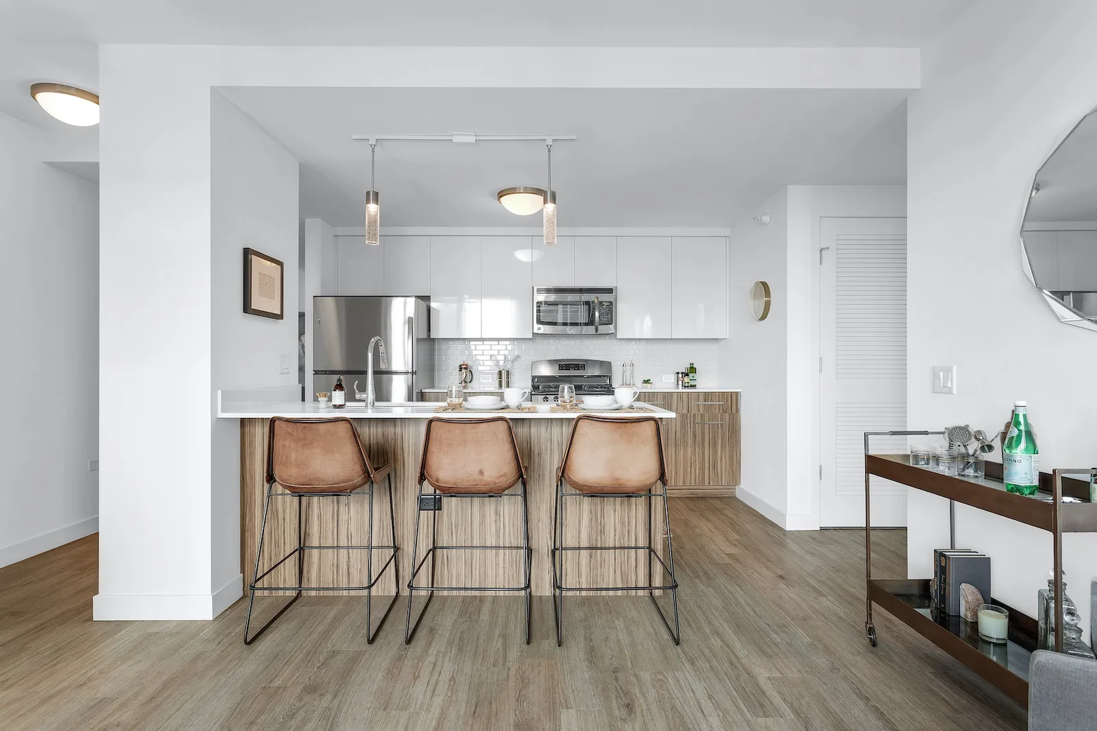 343 W Wolf Point Plaza   60654 60654-unit#2412-Chicago-IL