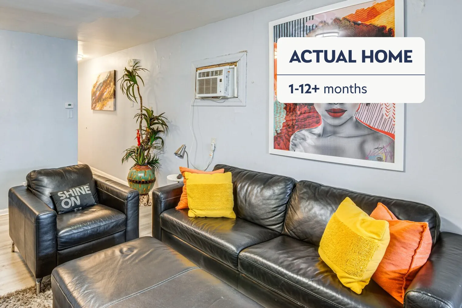 8136 S Kedzie Ave 60652 60652-Building South Kedzie Avenue - evolve-unit#ID1306891P-Chicago-IL