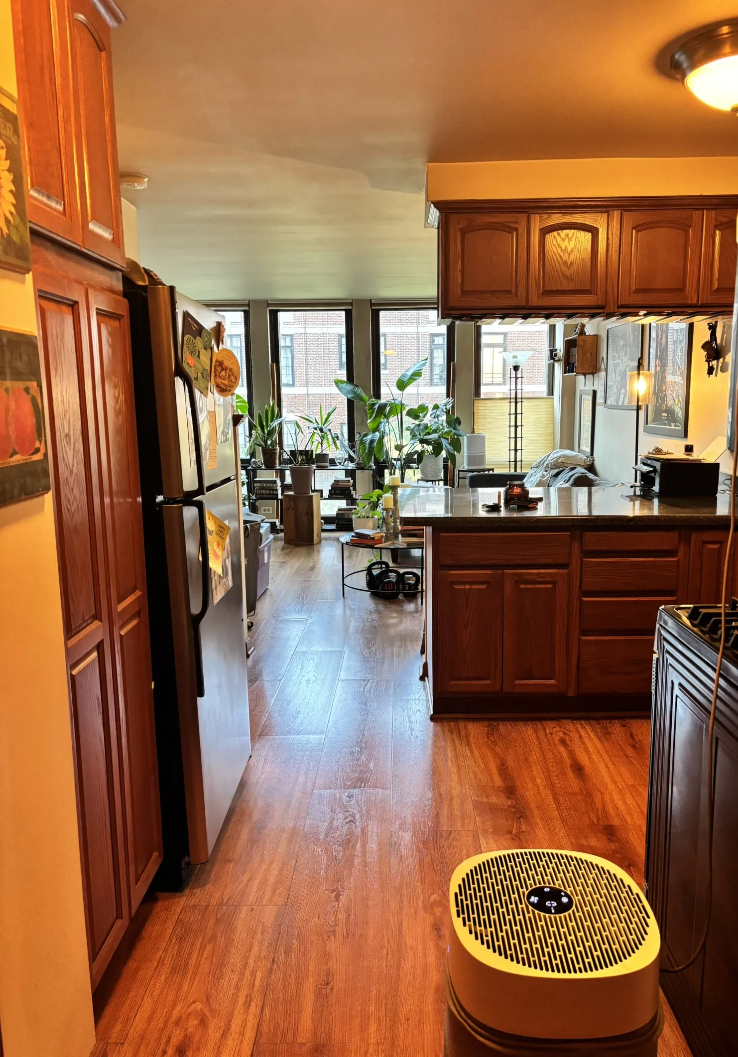 1 E Scott St   60610 60610-unit#801-Chicago-IL