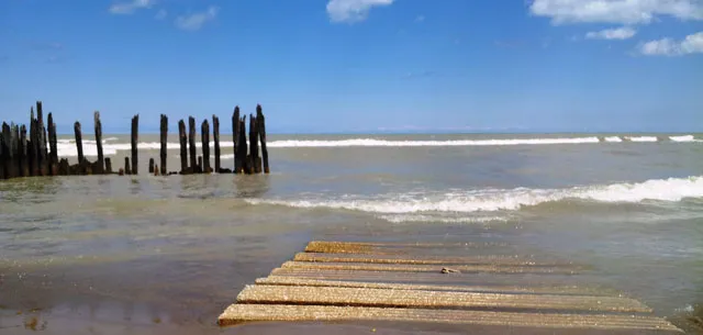 5654 N Ridge Ave 60660 60660-unit#1N-Chicago-IL