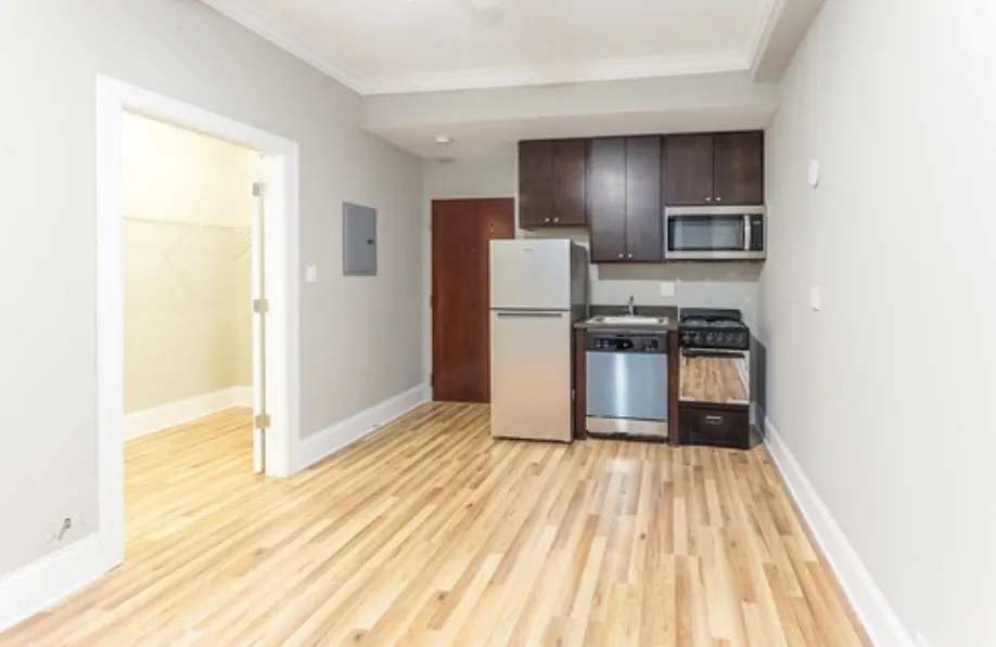 1036 N Dearborn St 60610 60610-Dearborn Apartments-Chicago-IL