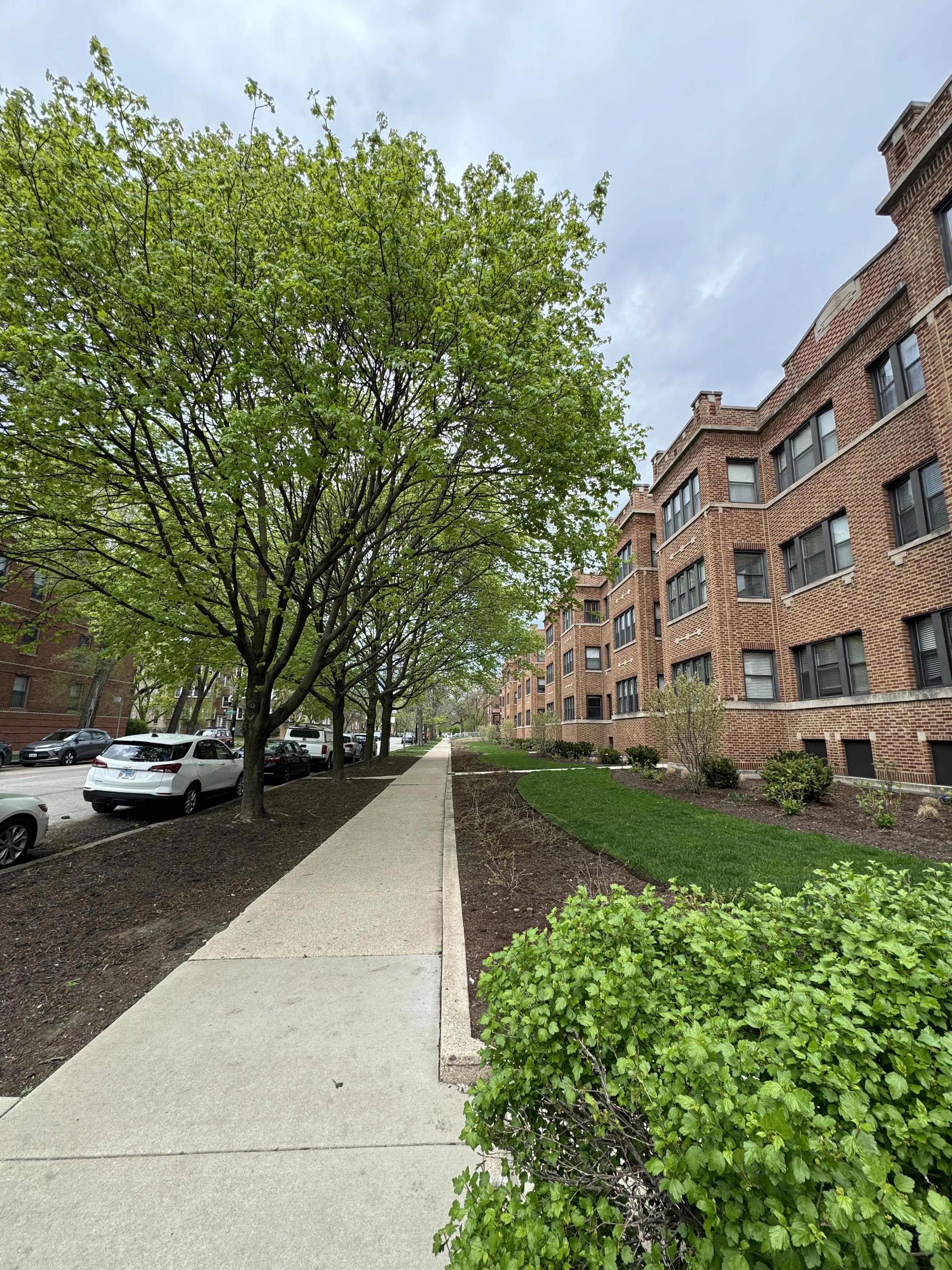 4019 N Southport Ave 60613 60613-unit#2-Chicago-IL