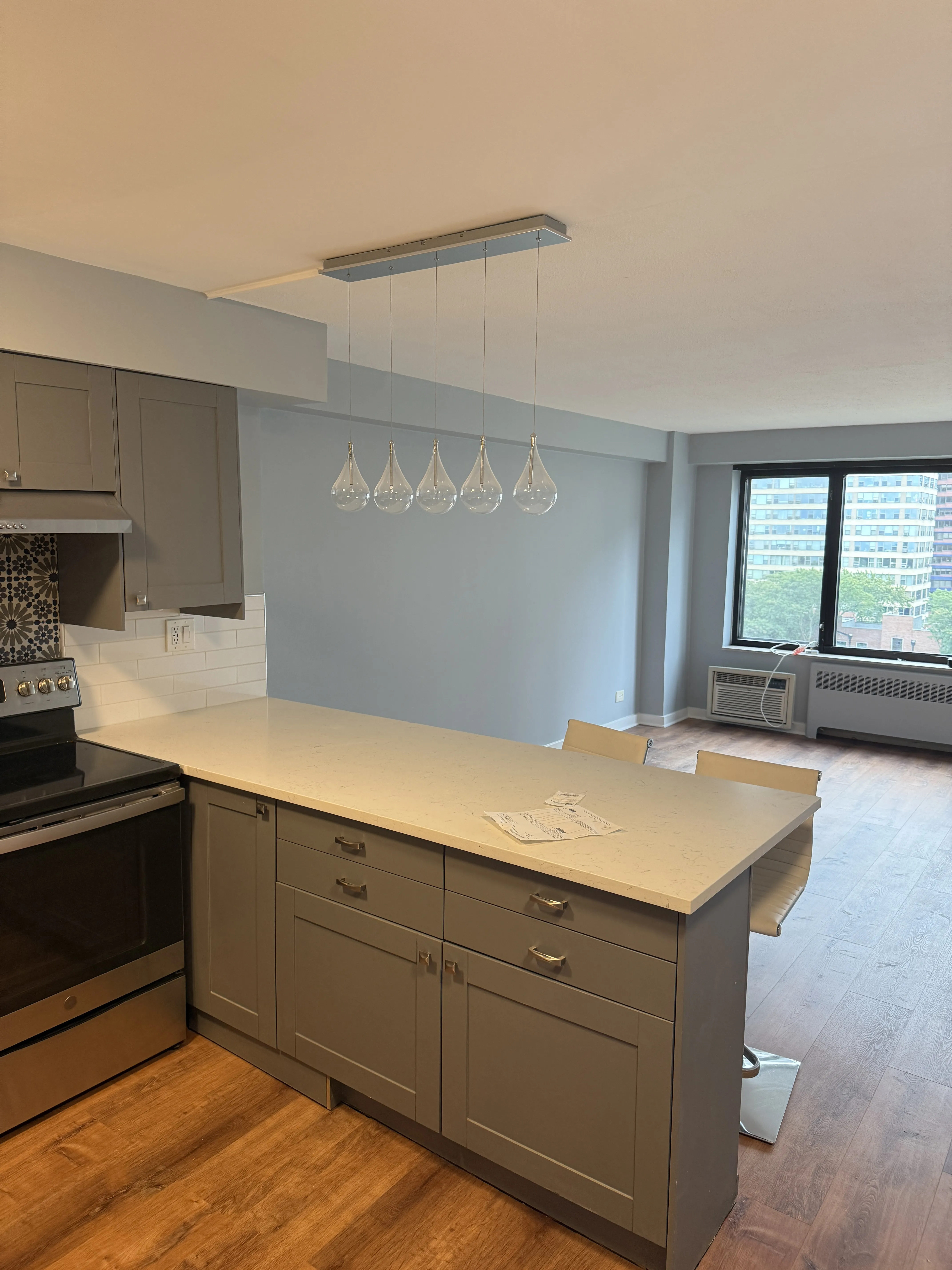 3100 N Lake Shore Dr   60657 60657-Chicago-IL