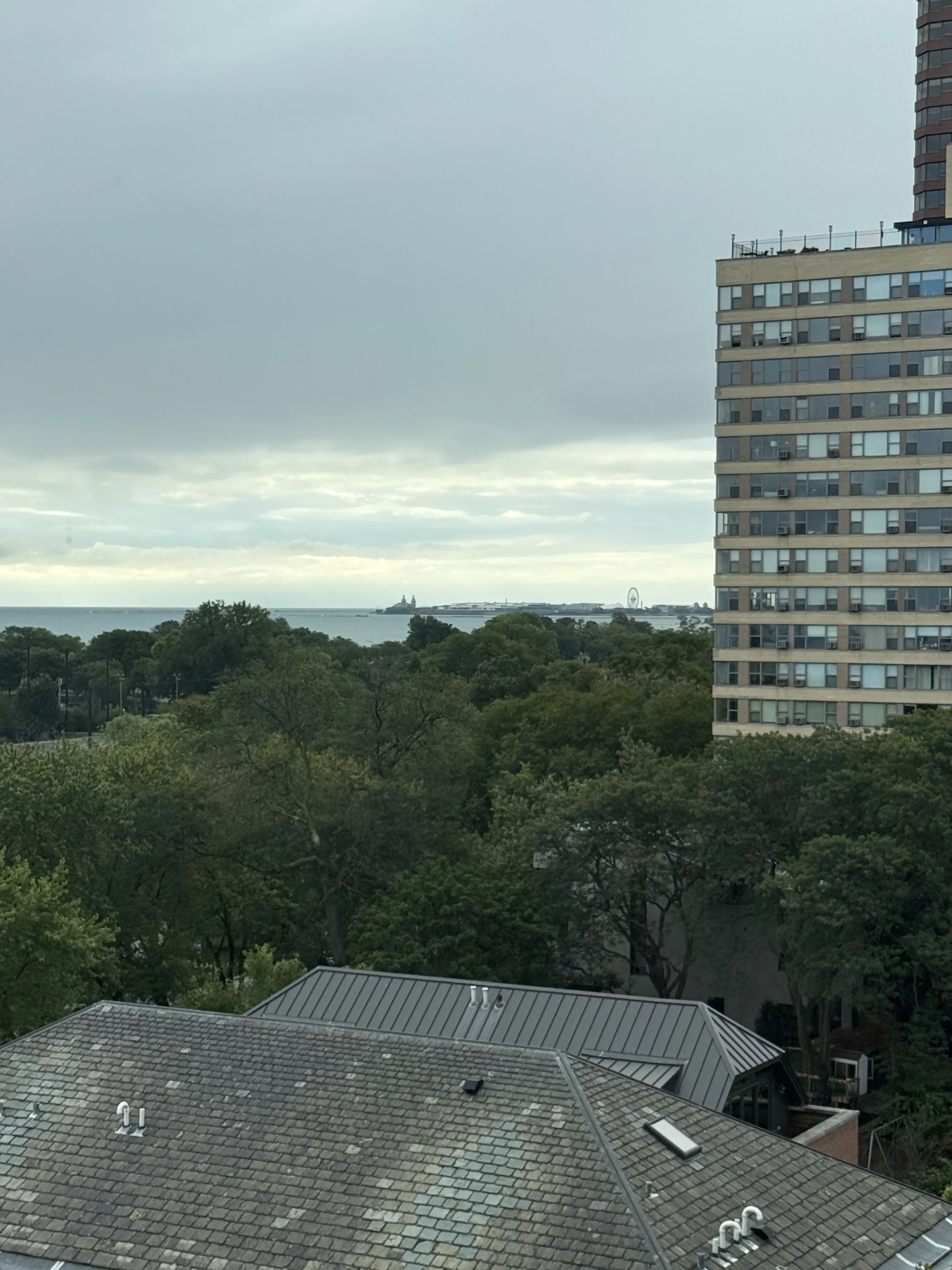 3100 N Lake Shore Dr   60657 60657-Chicago-IL