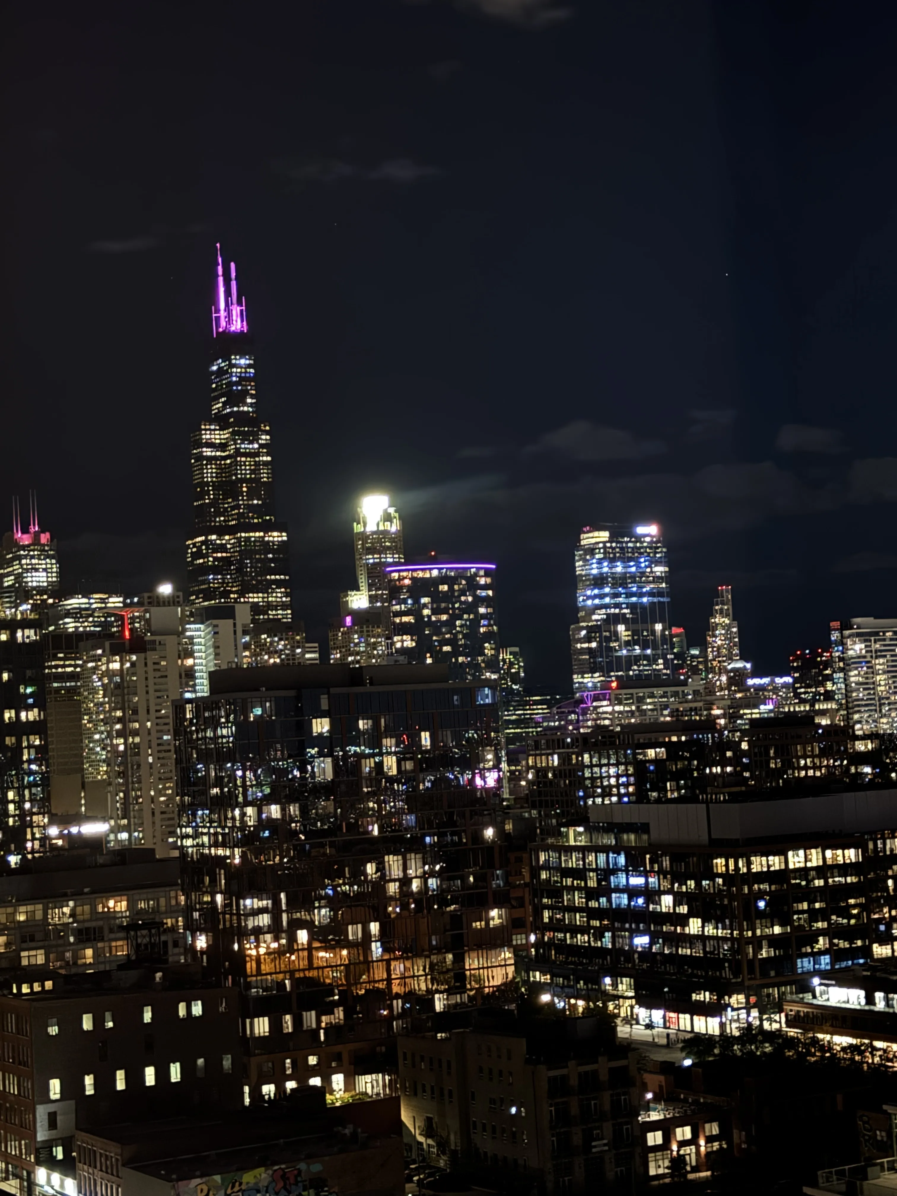 225 N Elizabeth St   60607 60607-The Elizabeth-unit#Unit 1909-Chicago-IL