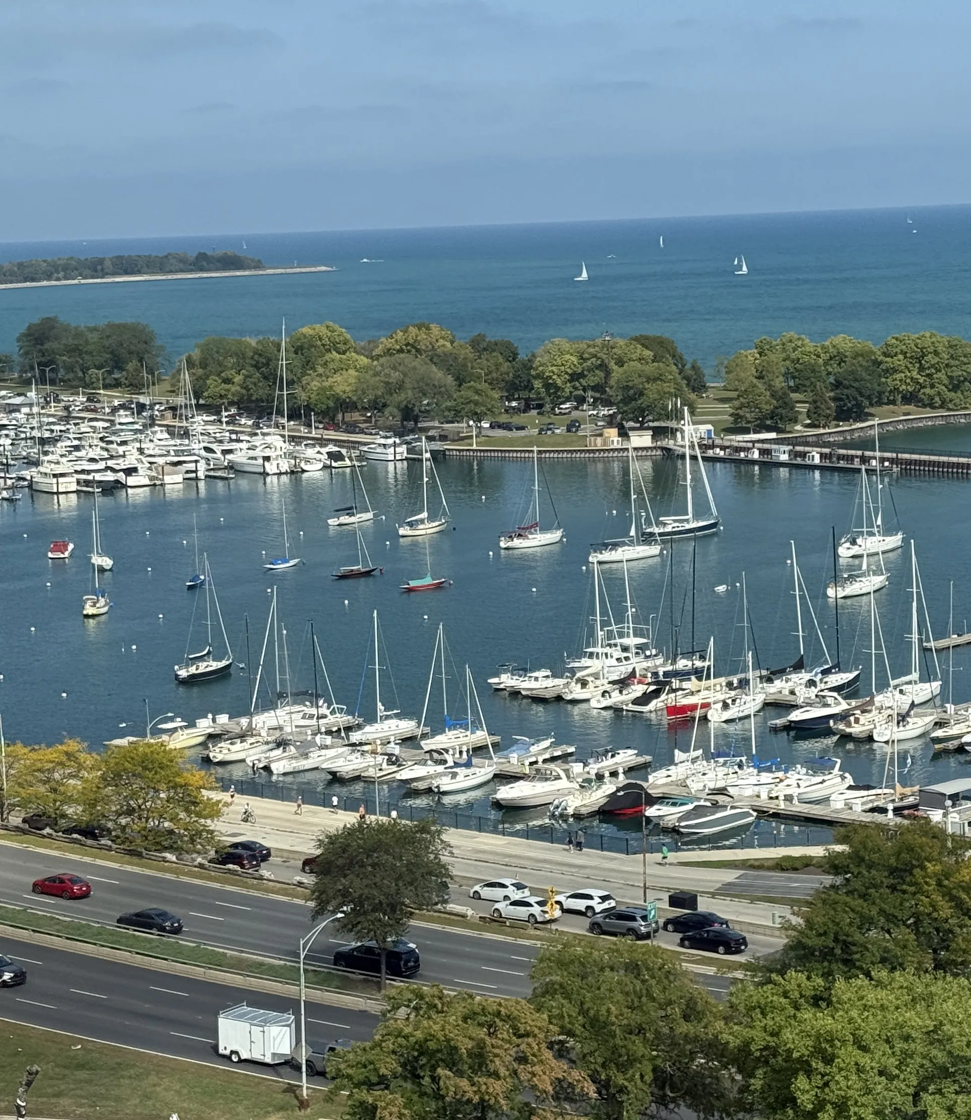 3100 N Lake Shore Dr   60657 60657-Chicago-IL