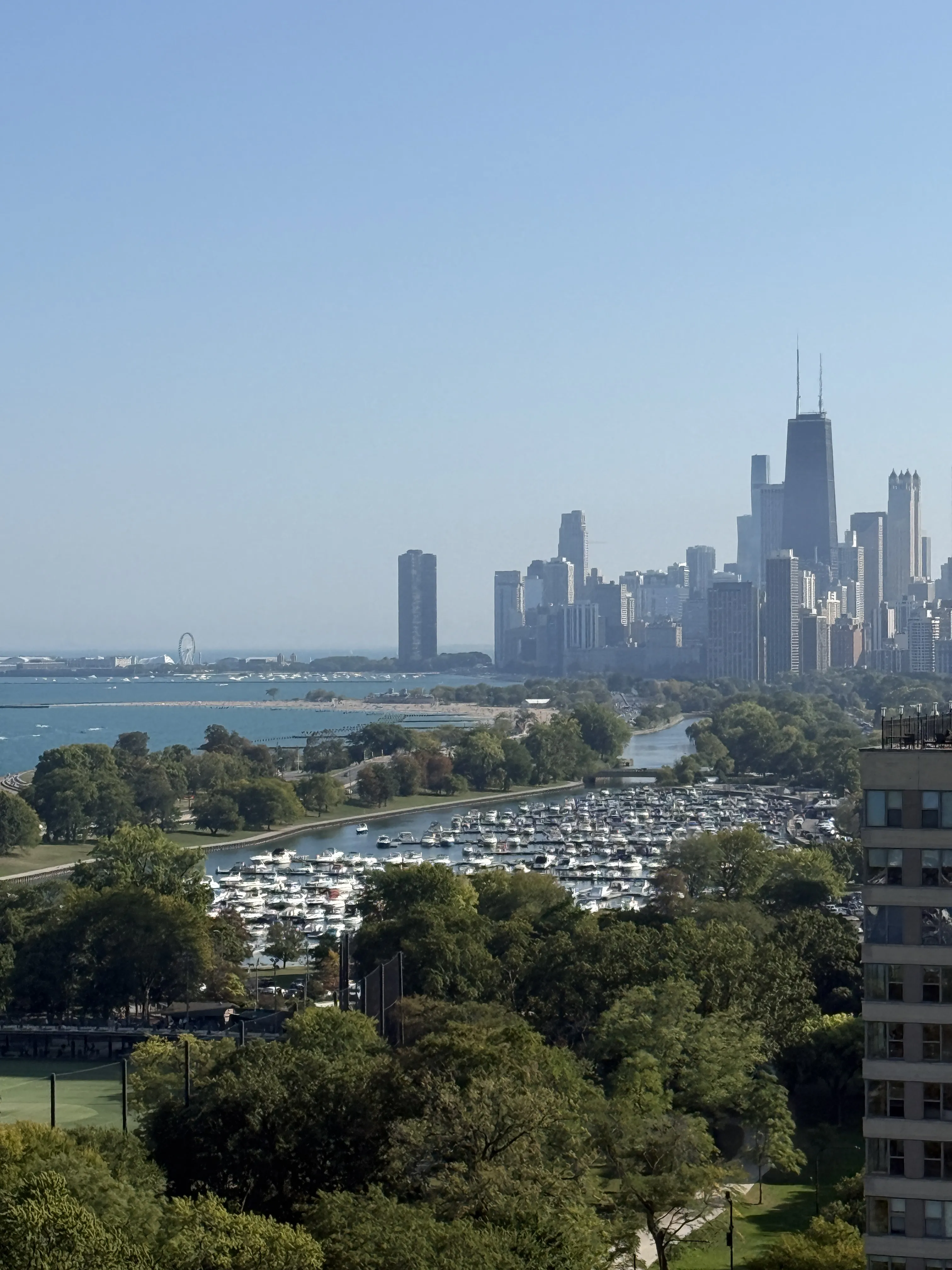 3100 N Lake Shore Dr   60657 60657-Chicago-IL