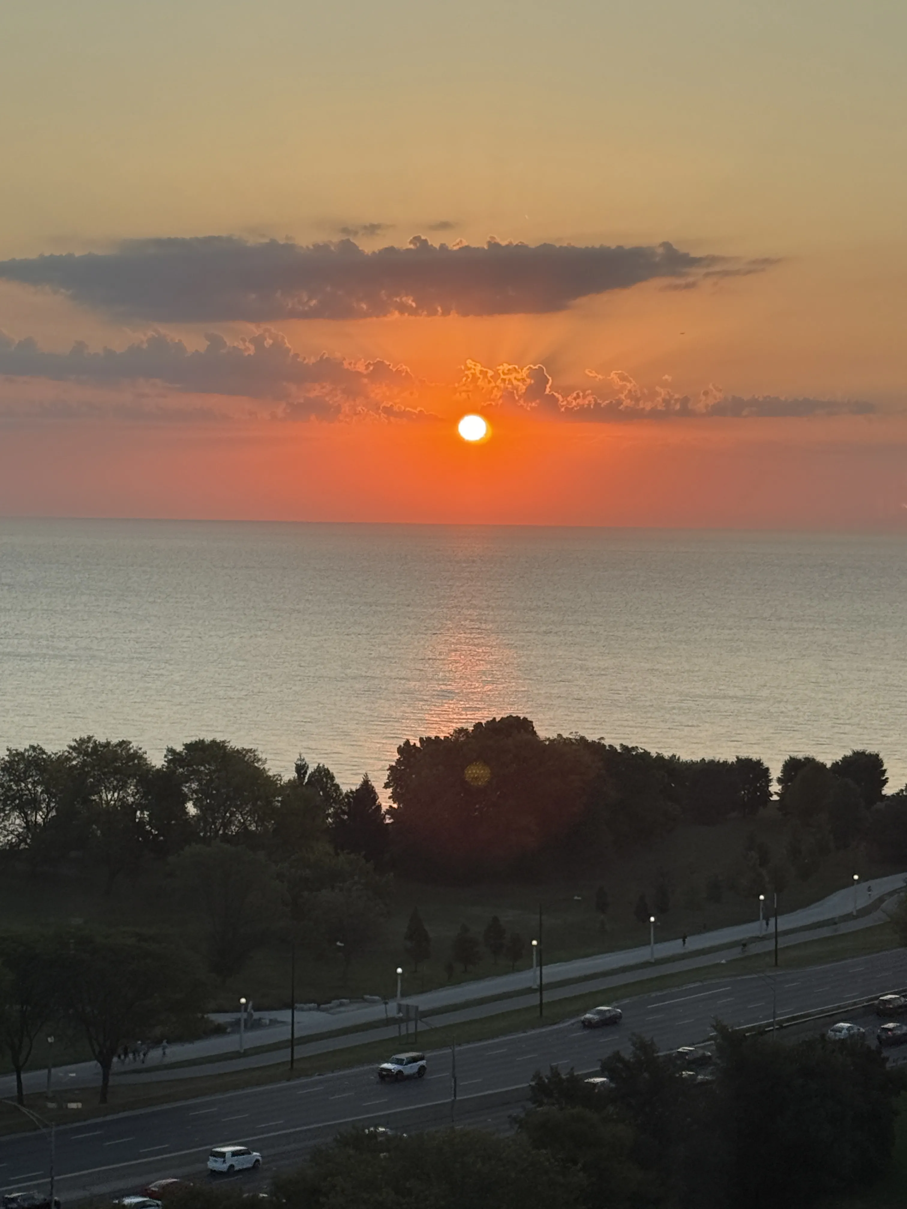3100 N Lake Shore Dr   60657 60657-Chicago-IL