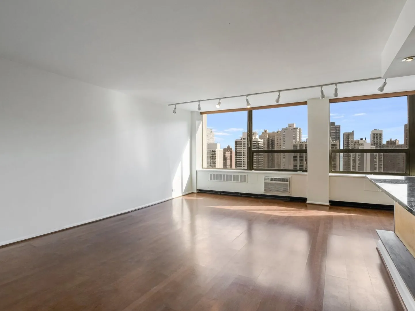 1455 N Sandburg Terrace   60610 60610-unit#1904-Chicago-IL