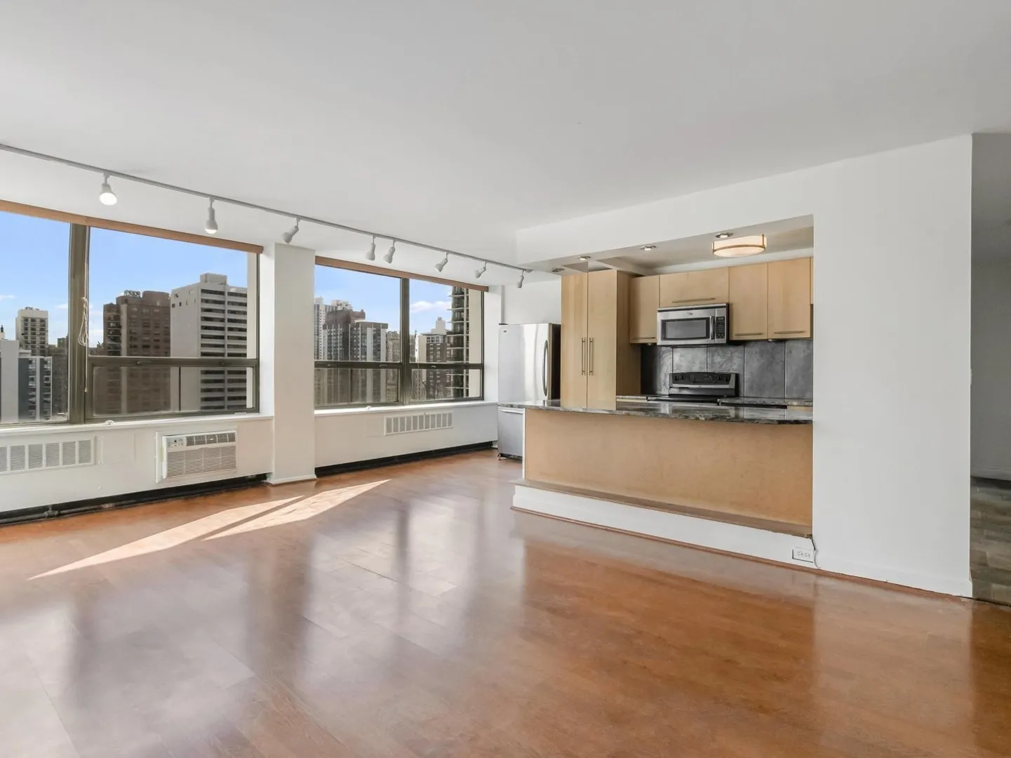 1455 N Sandburg Terrace 60610 60610-unit#1904-Chicago-IL