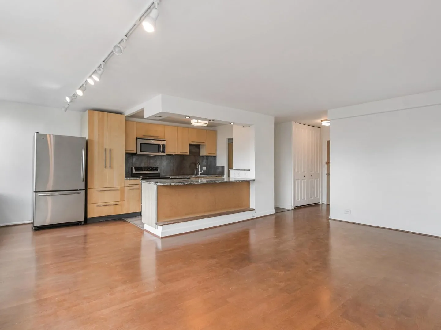 1455 N Sandburg Terrace   60610 60610-unit#1904-Chicago-IL