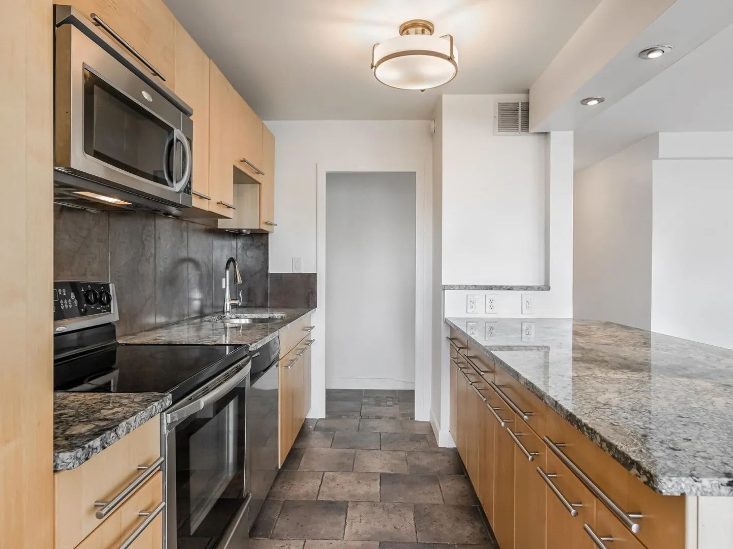 1455 N Sandburg Terrace   60610 60610-unit#1904-Chicago-IL