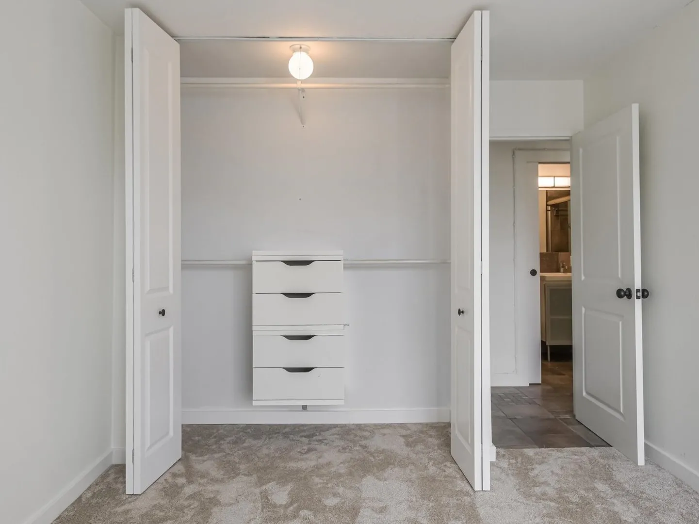 1455 N Sandburg Terrace   60610 60610-unit#1904-Chicago-IL