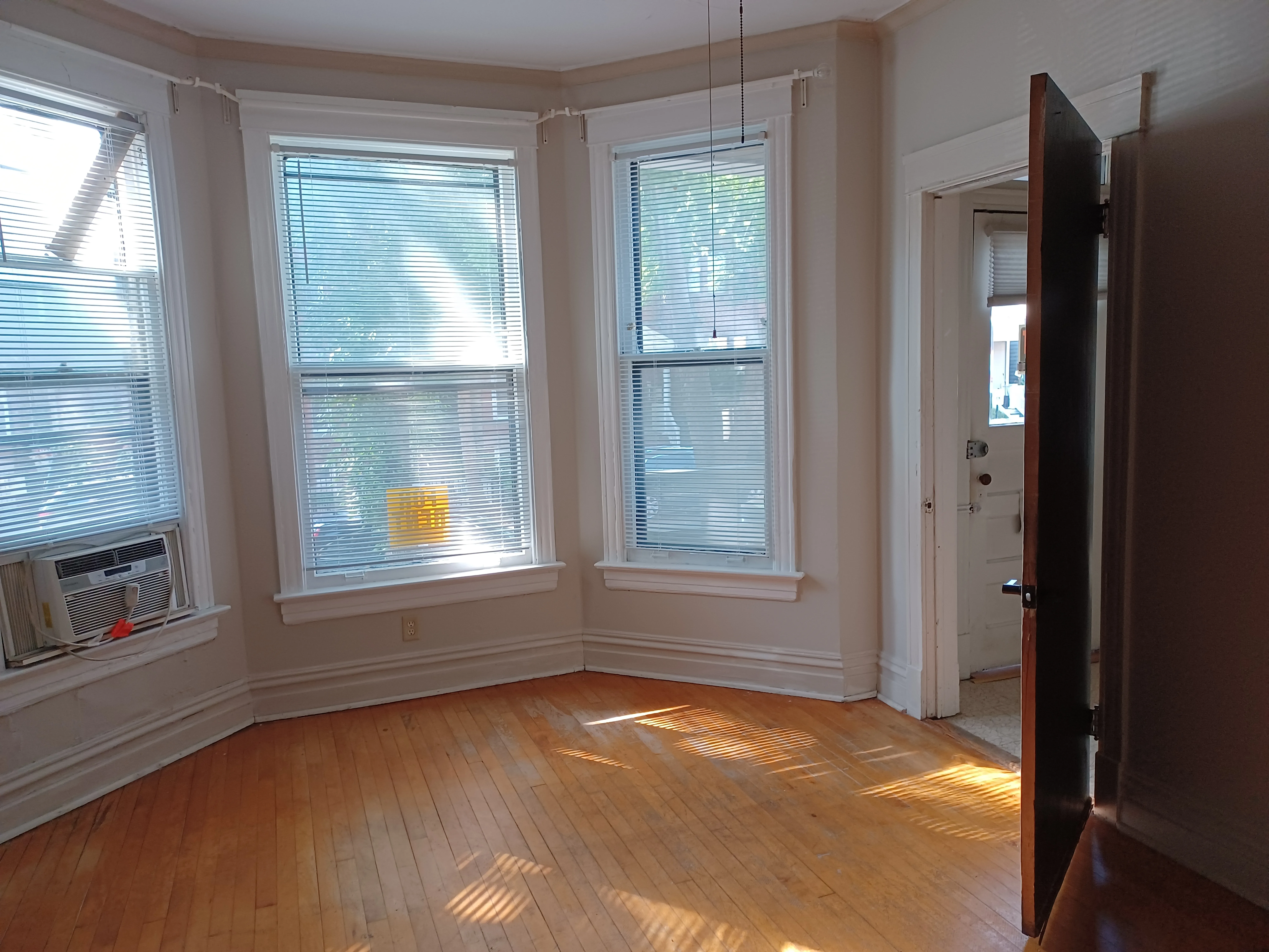 3645 N Hermitage Ave 60613 60613-unit#1-Chicago-IL