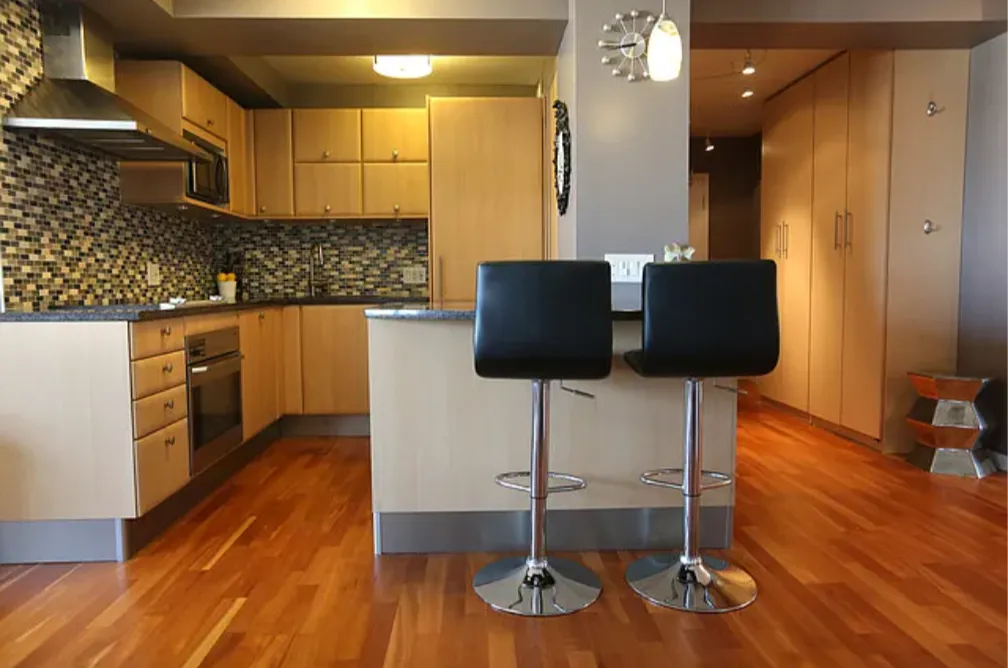 2909 N Sheridan Rd   60657 60657-unit#1807-Chicago-IL