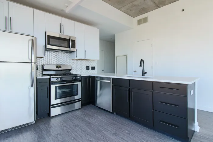 1401 S State St   60605 60605-unit#1315-Chicago-IL