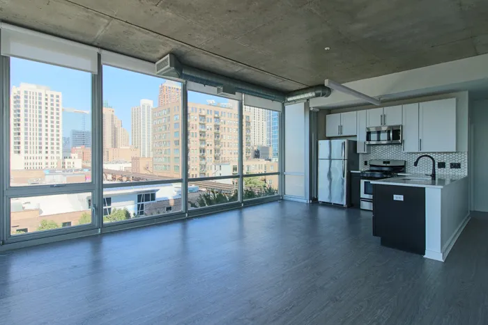 1401 S State St 60605 60605-unit#1315-Chicago-IL