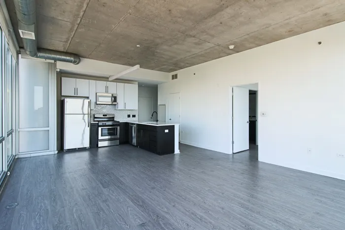 1401 S State St   60605 60605-unit#1315-Chicago-IL