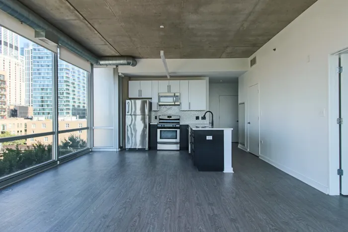 1401 S State St   60605 60605-unit#1315-Chicago-IL