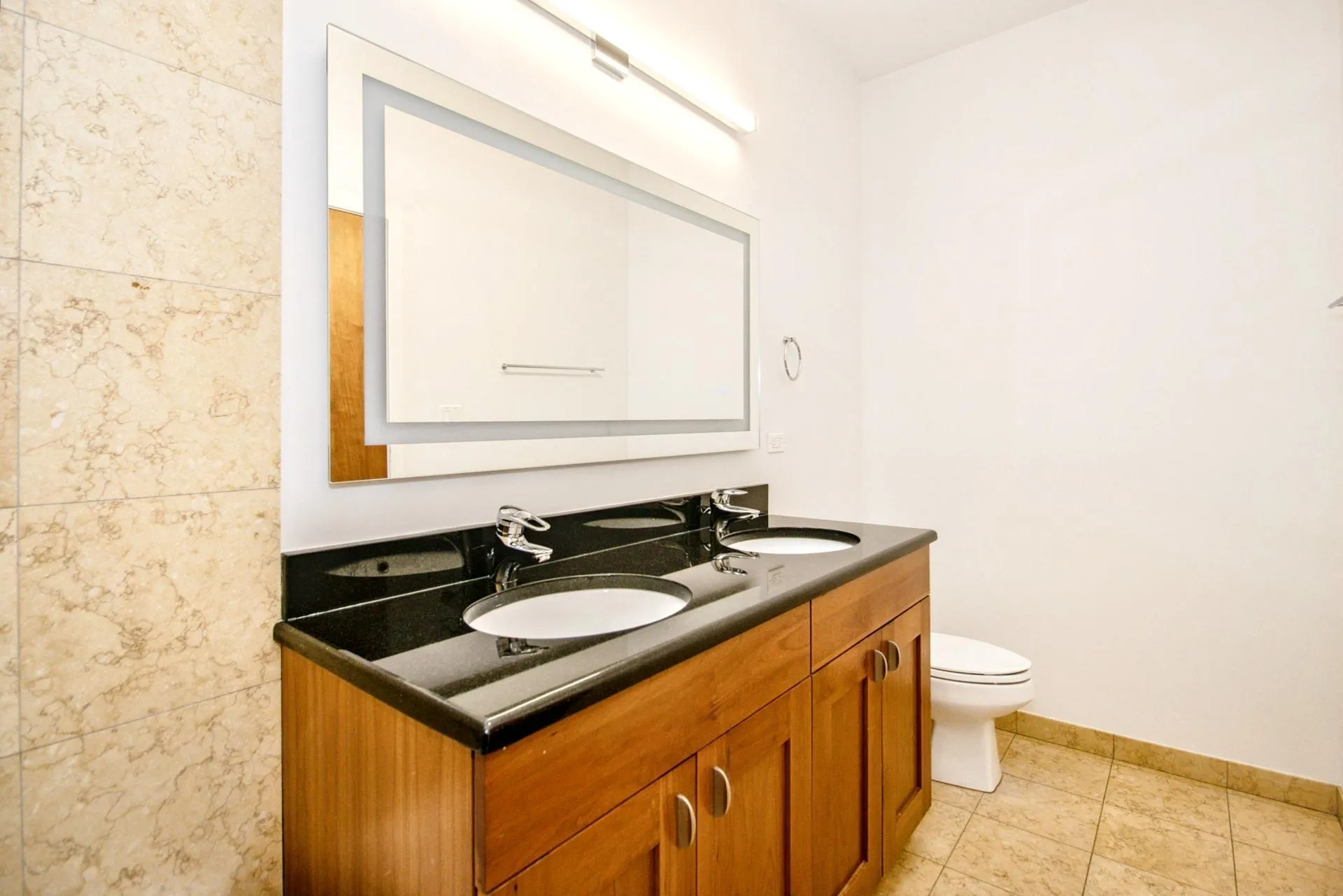 1707 S Ruble St   60616 60616-unit#2S-Chicago-IL