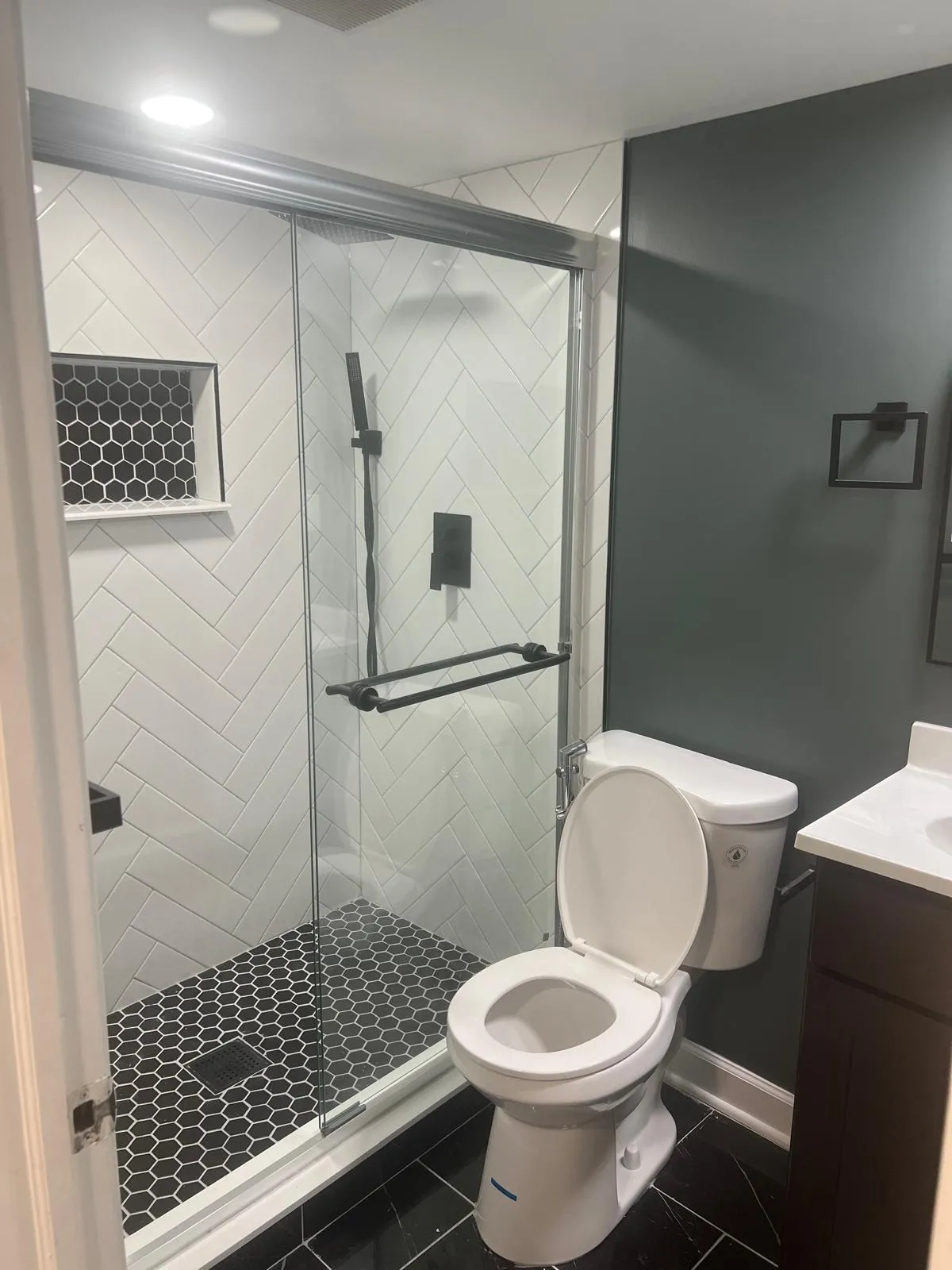 6164 N Hamilton Ave   60659 60659-Chicago-IL