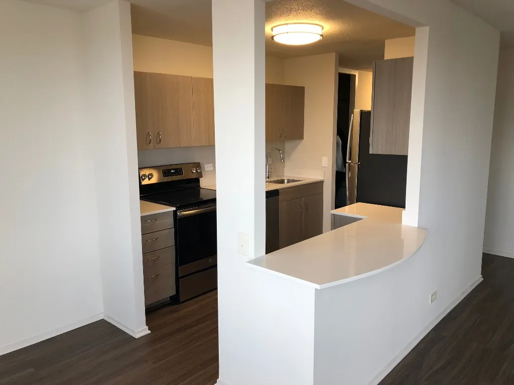 1130 N Dearborn St 60610 60610-unit#2407-Chicago-IL