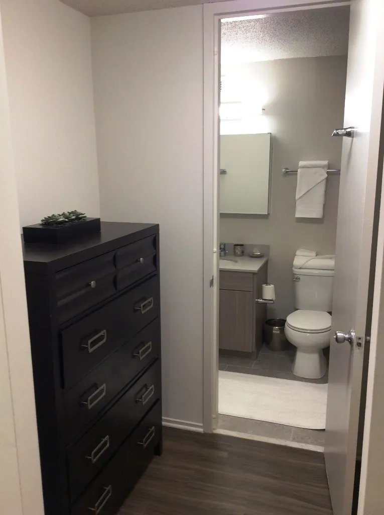 1130 N Dearborn St 60610 60610-unit#2407-Chicago-IL