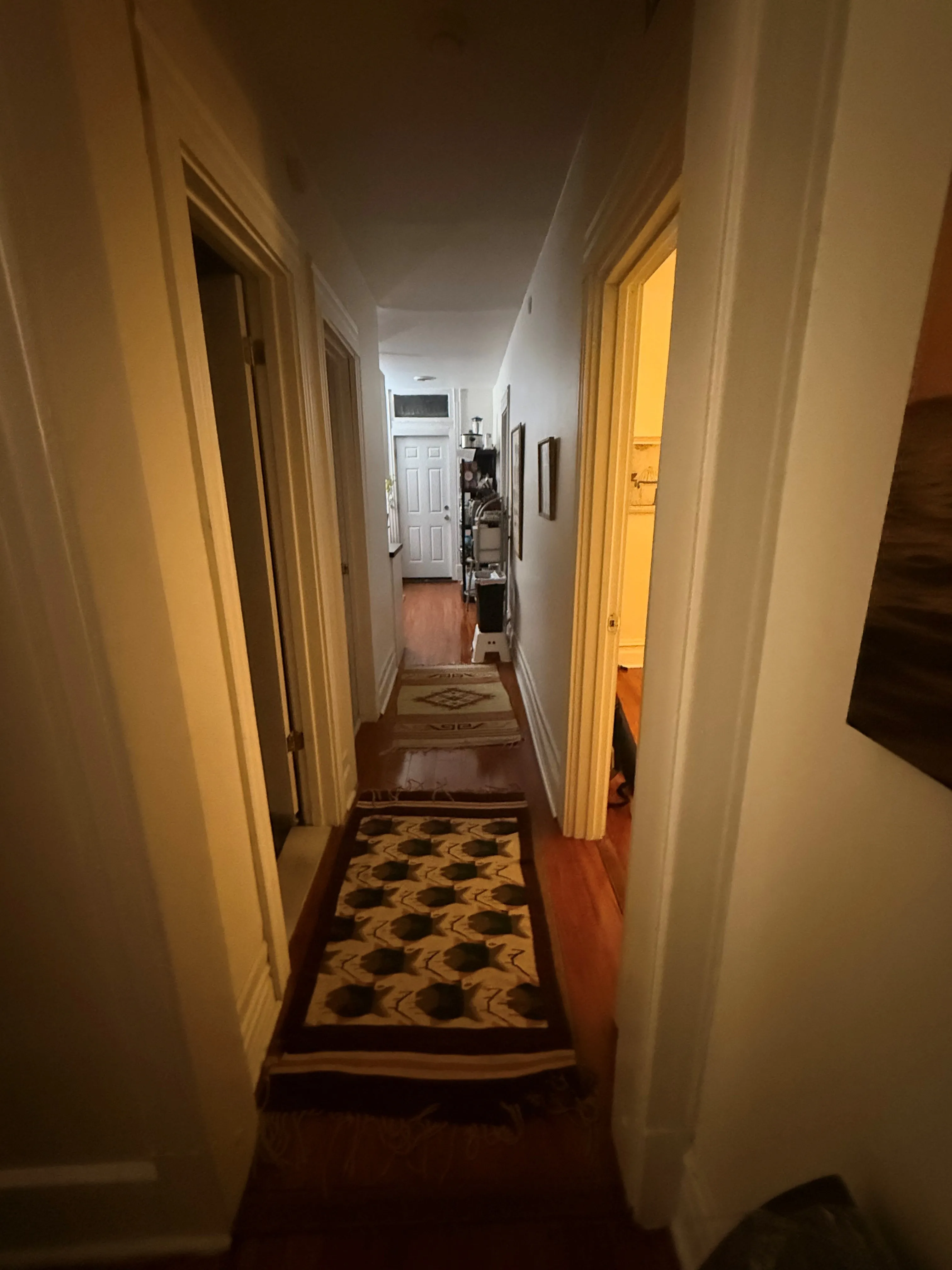 1654 N Talman Ave 60647 60647-unit#3-Chicago-IL