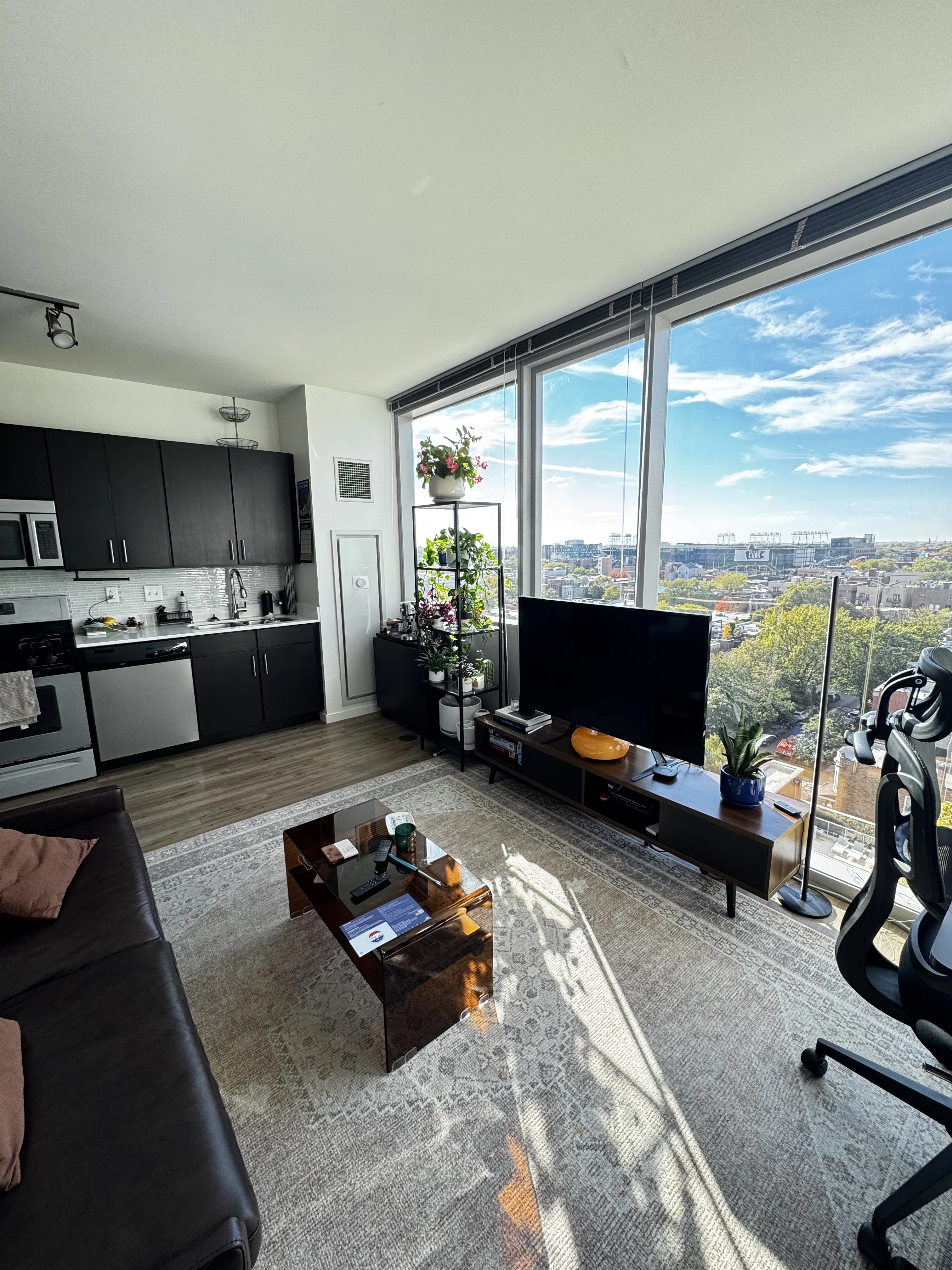 3740 N Halsted St 60613 60613-Halsted Flats-unit#1109-Chicago-IL