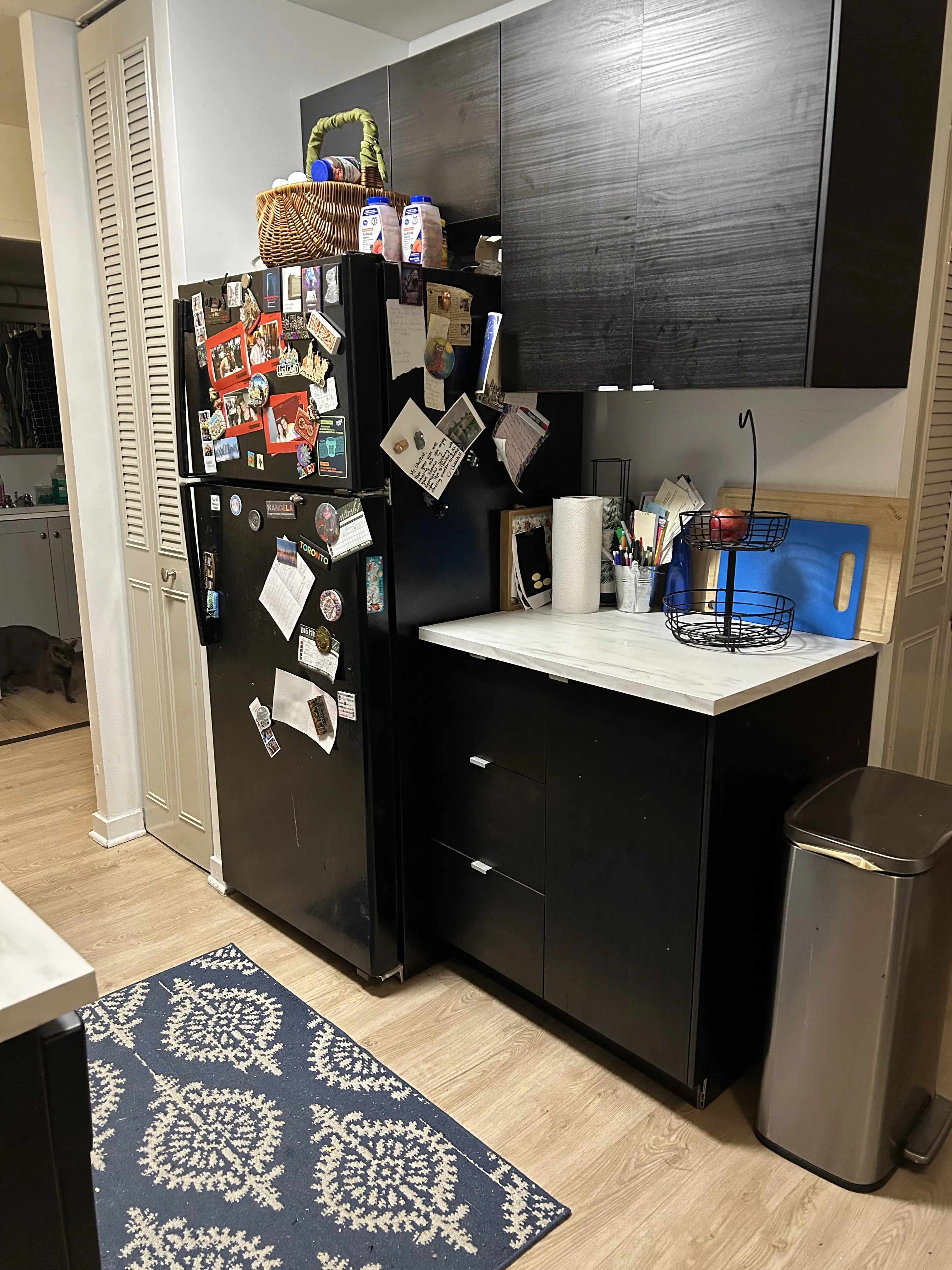 441 W Oakdale Ave 60657-unit#10B-Chicago-IL