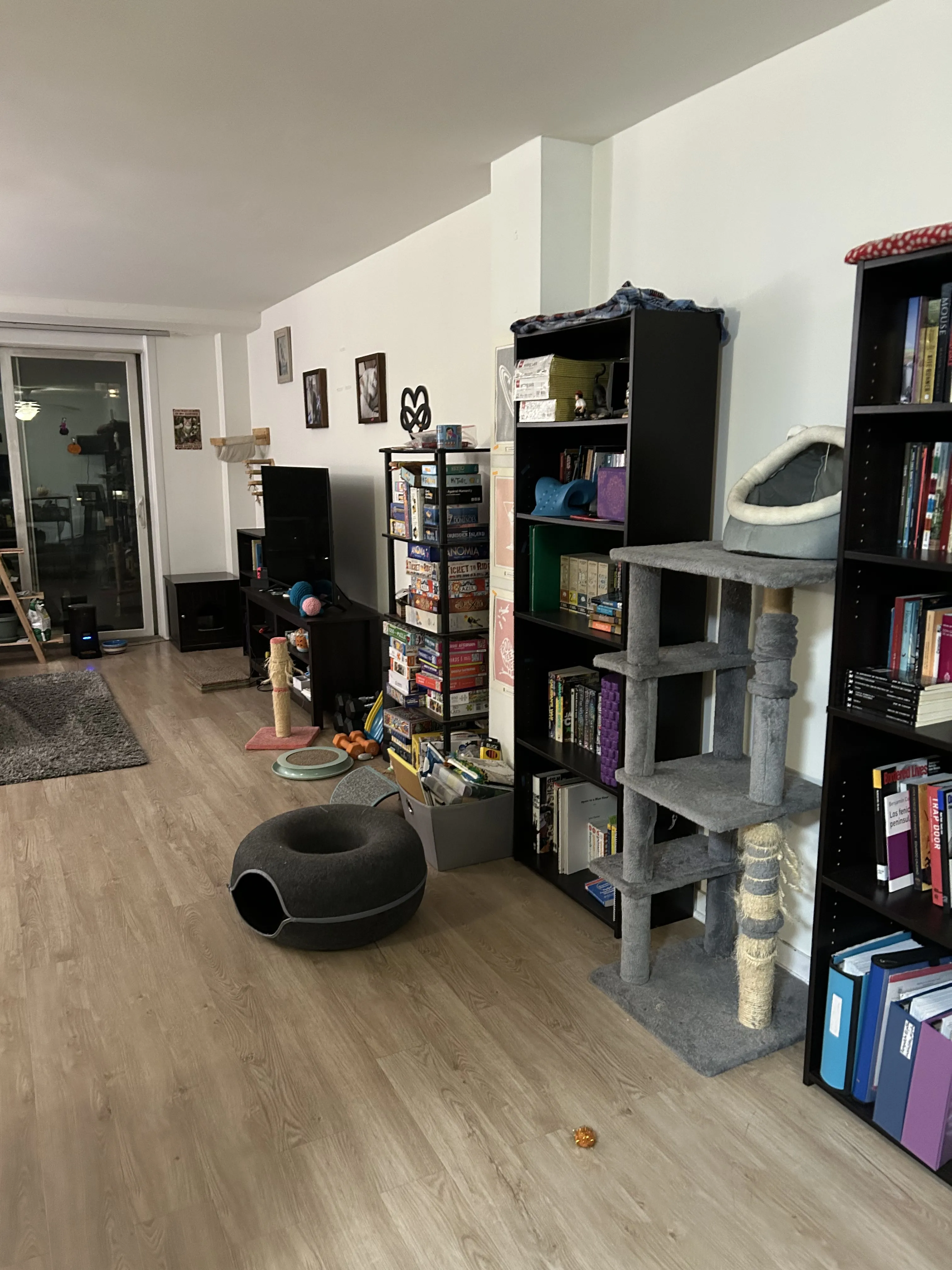 441 W Oakdale Ave 60657-unit#10B-Chicago-IL