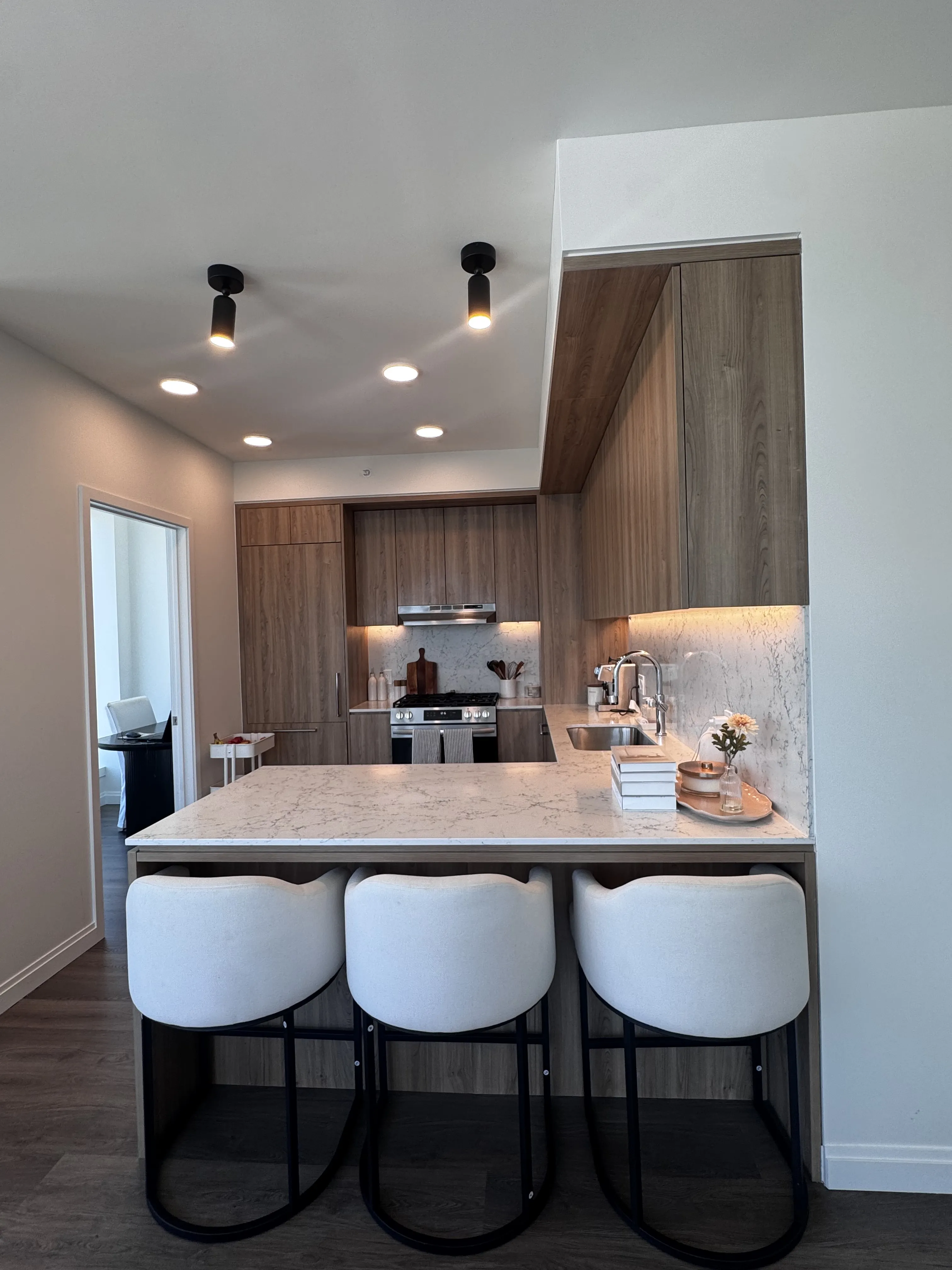 1000 S Michigan Ave   60605 60605-1000M-Chicago-IL