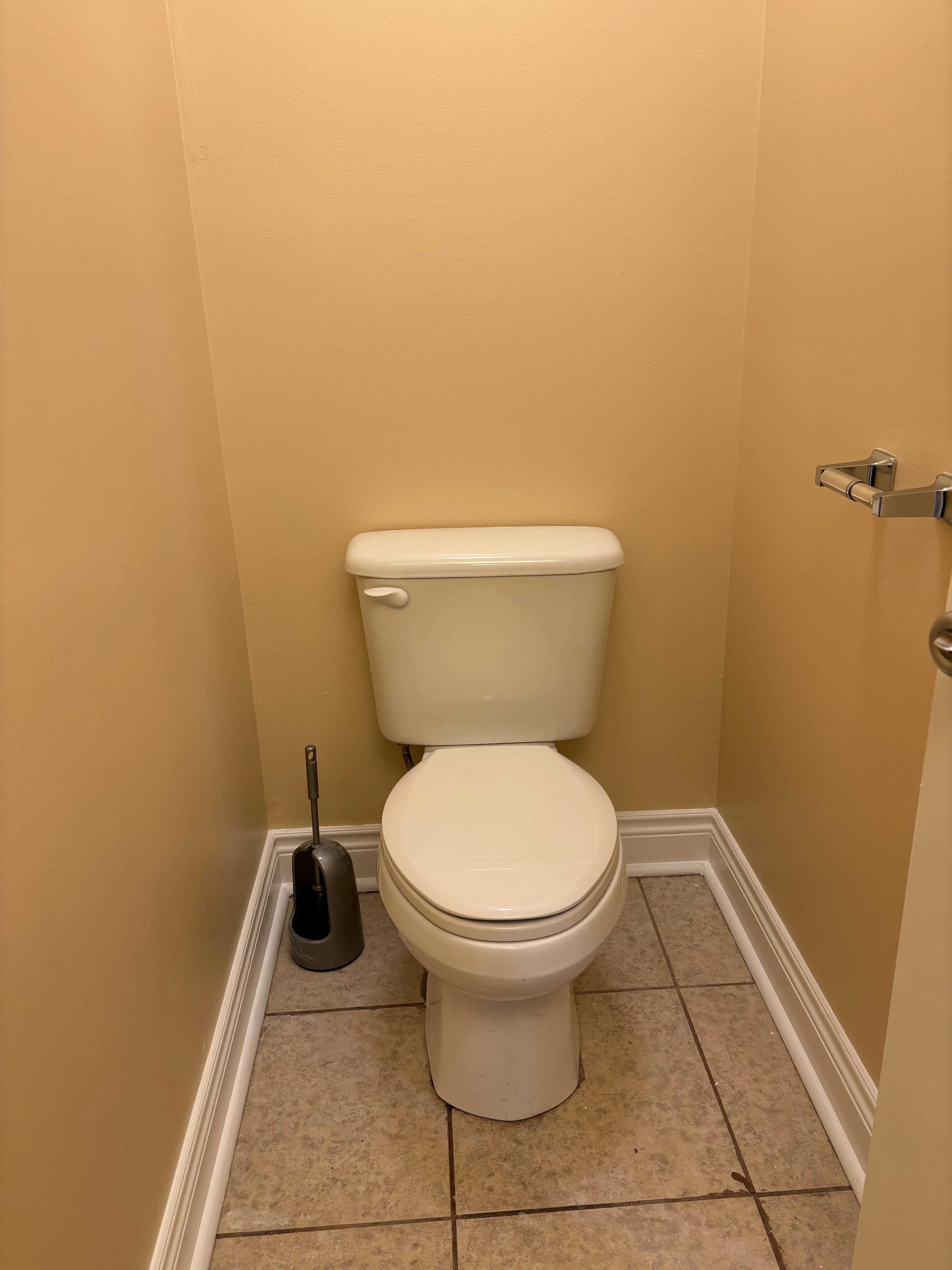 1741 W 18th Pl   60608 60608-Chicago-IL